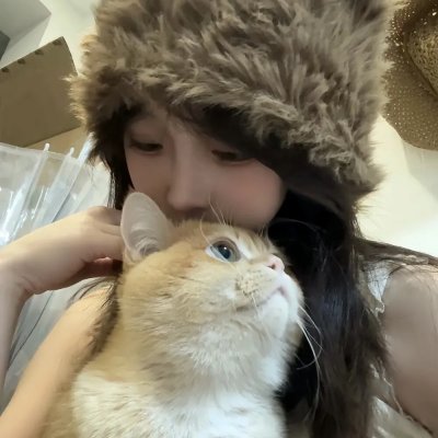 狐狸女士第二季